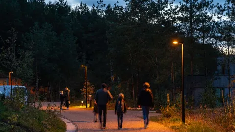 Amber lighting respects the biodiversity and provides a well-lit space for people in Terhills holiday village